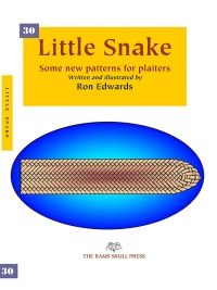 Little Snake ebook