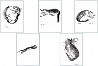 Cat Series 2 Greeting Cards