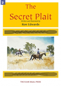 The Secret Plait ebook