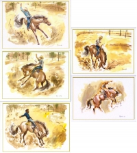 Bucking horses Greeting Cards